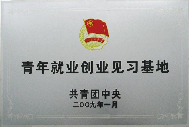 共青團中央青年就業(yè)創(chuàng)業(yè)見習(xí)基地